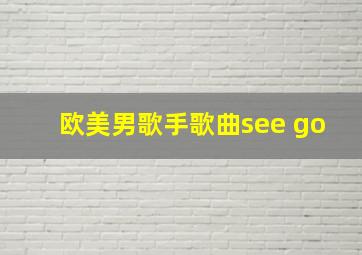 欧美男歌手歌曲see go